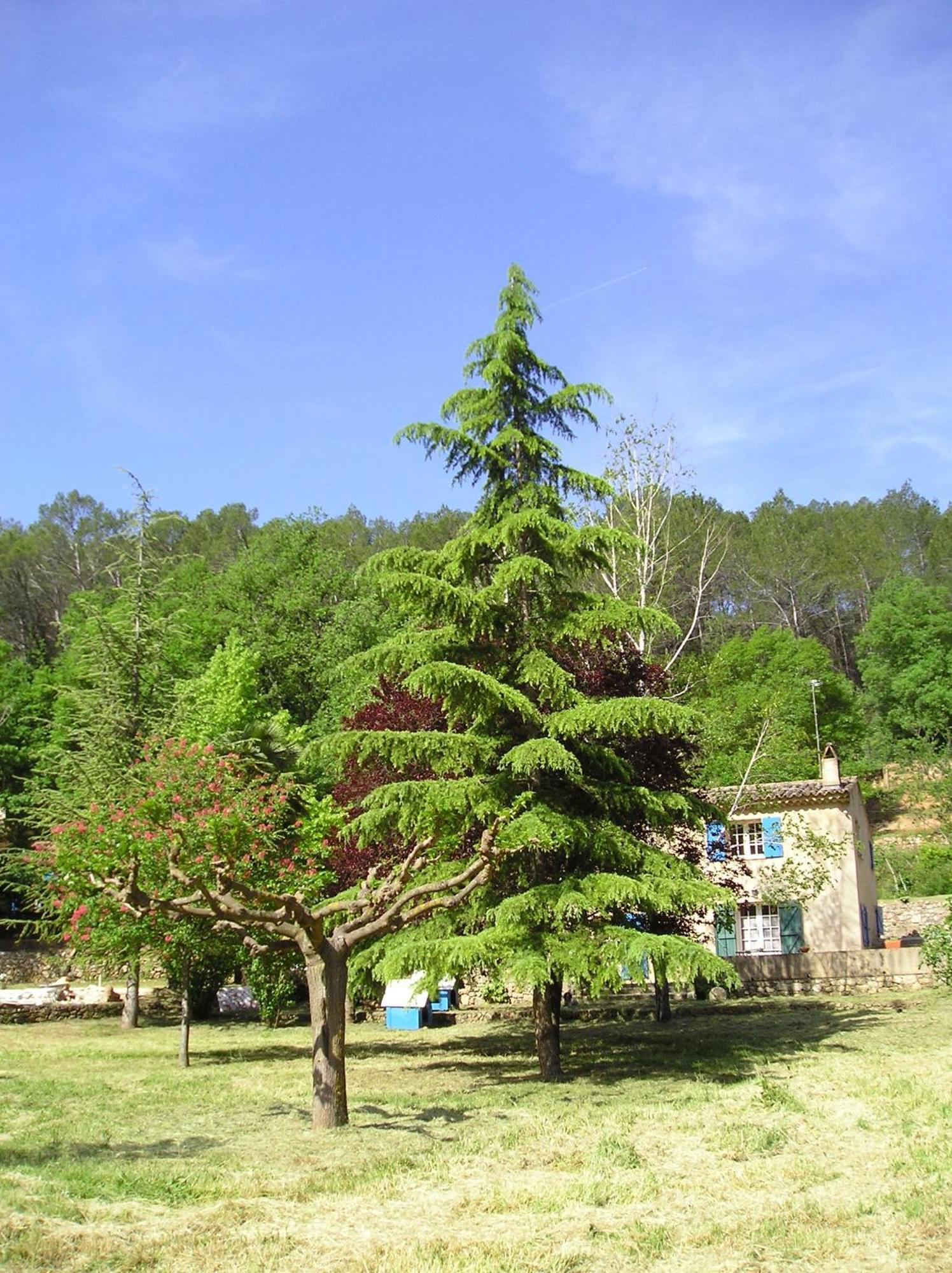 Вілла Domaine De La Provenc'Ane Салерн Номер фото
